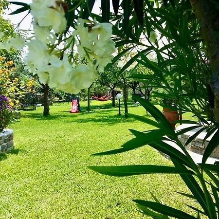Villa Marianna-Nina Holidays Paralia Sikias Exterior photo